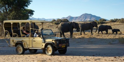 signature african safaris